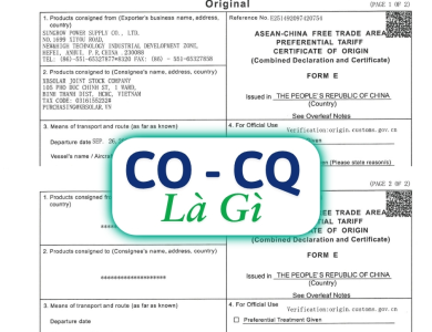CO CQ là gì? Tìm hiểu ý nghĩa, vai trò và cách kiểm tra chứng nhận chính hãng