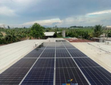 Công Trình Điện Mặt Trời Hòa Lưới 11kWp Cho Vườn Chuối Tại Đồng Nai