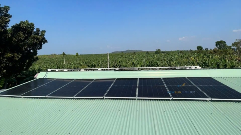Thông số kỹ thuật tấm pin năng lượng mặt trời Jinko 620Wp